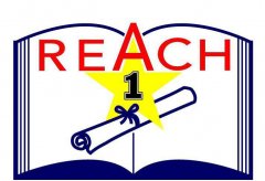 REACH�J(r��n)�C�M(f��i)���Ƕ���?