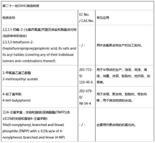 reach201é¡1æ£æμ